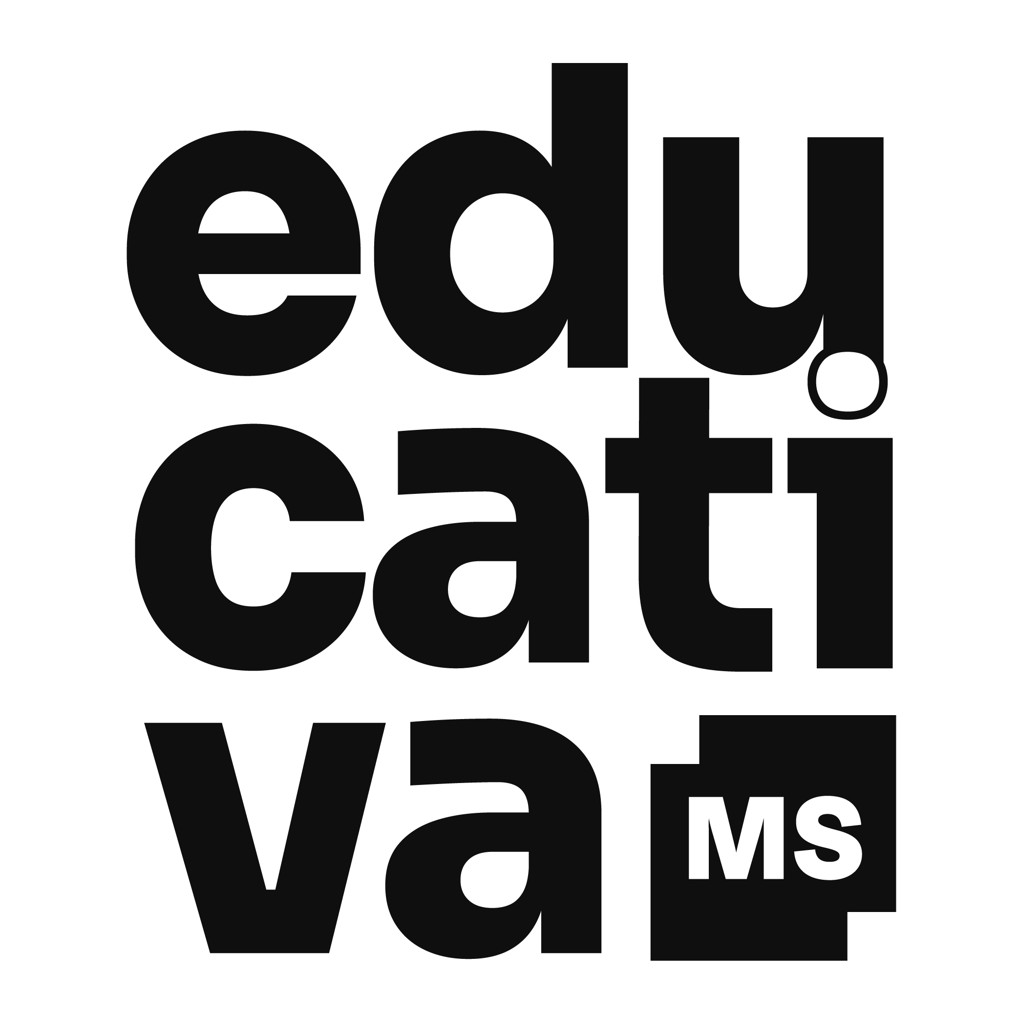 Educativa MS