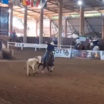 Atletas competindo no Campeonato Brasileiro de Laço Comprido em Campo Grande.