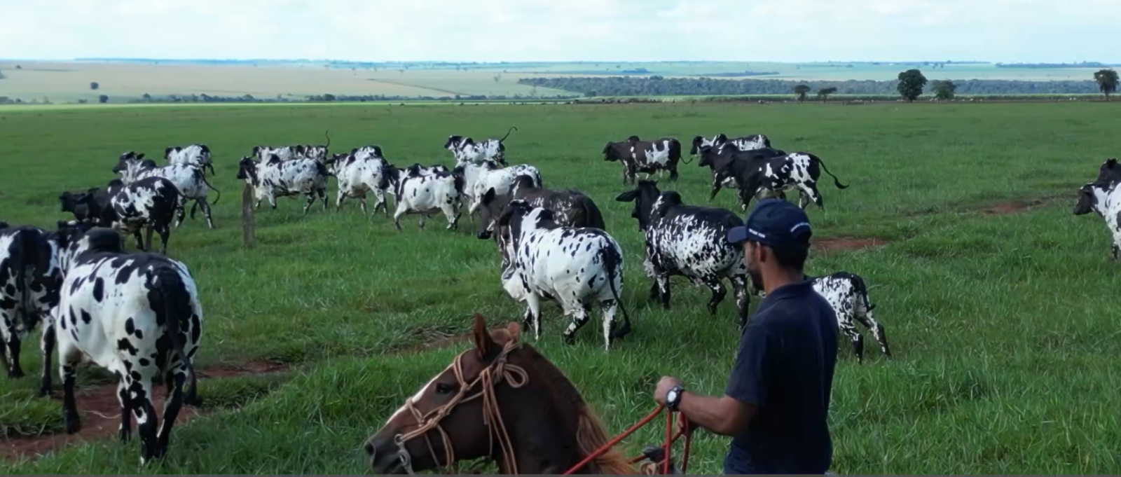 Programa AgroEducativa MS destacando pecuária, culinária e mercado agropecuário de Mato Grosso do Sul.