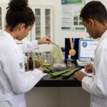 Estudantes brasileiros apresentam curativo biodegradável com babosa e camomila, vencedor de prêmio internacional.