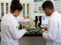 Estudantes brasileiros apresentam curativo biodegradável com babosa e camomila, vencedor de prêmio internacional.